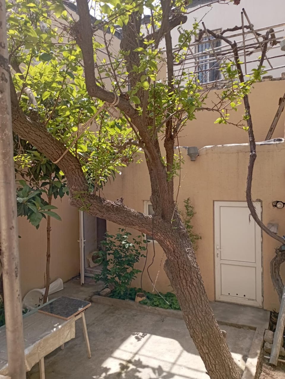 Дом в центре города около ЦУМА с маленьким двориком Apartment in Baku