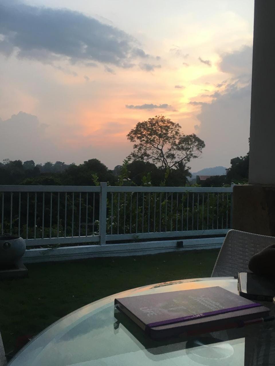 View (from property/room)