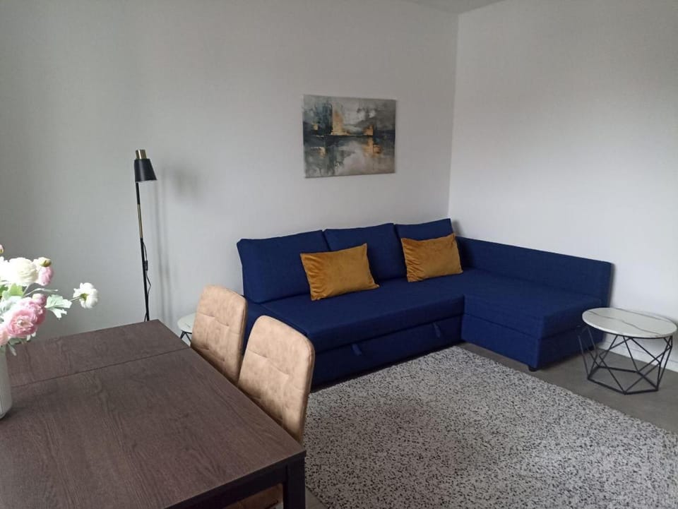 Gemütliche, ruhige Wohnung in zentraler Lage Apartment in Chemnitz