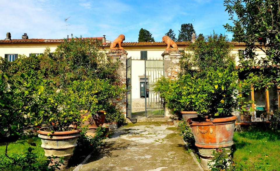Garden, Garden view