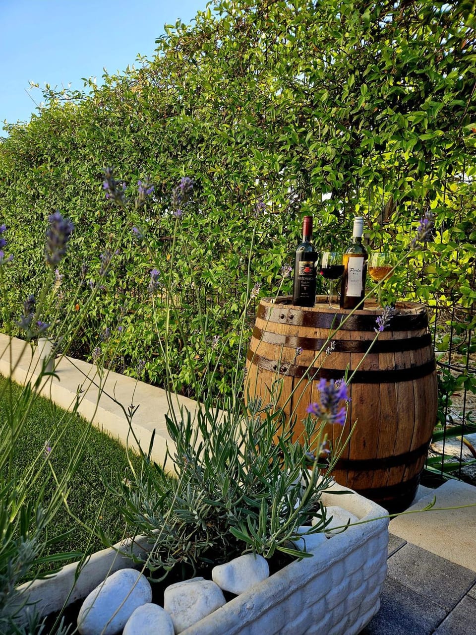 Garden view