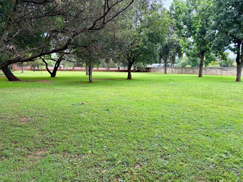 Natural landscape, Garden view