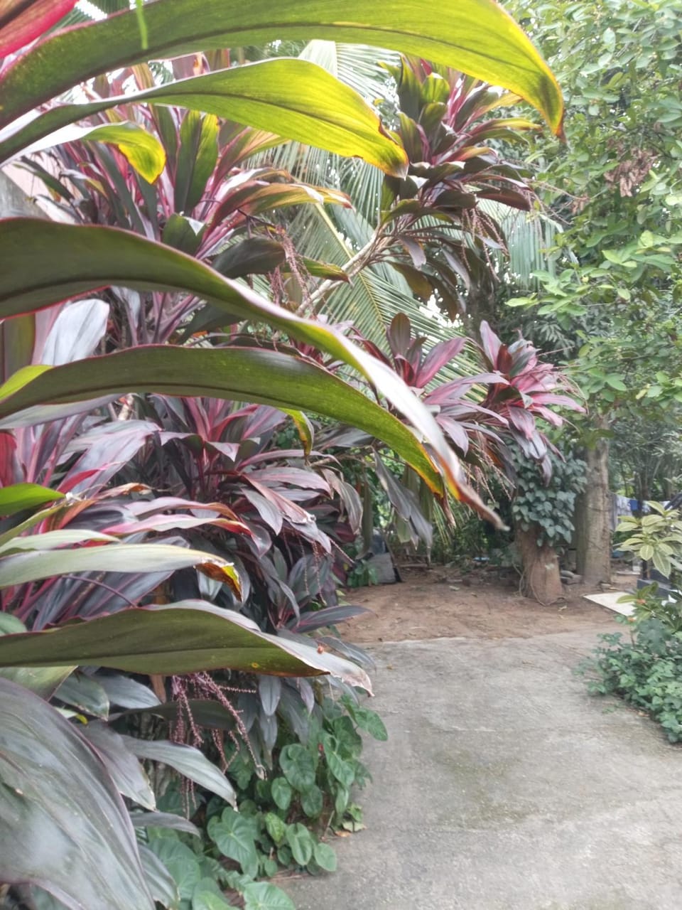 Garden, Garden view