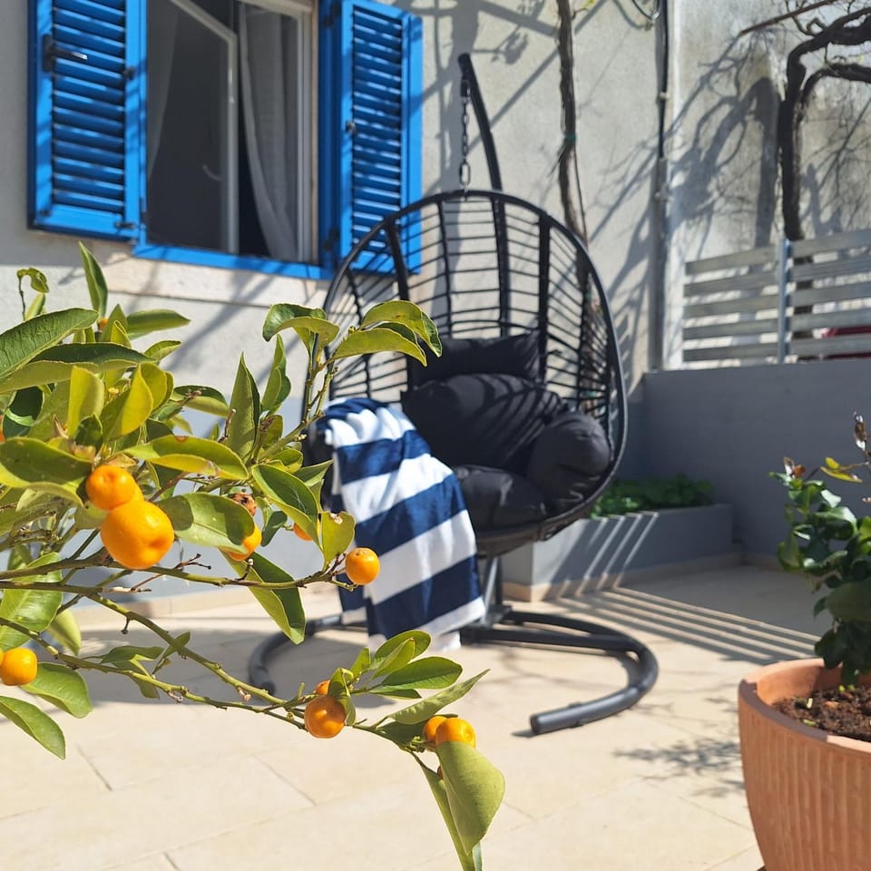 Spring, Day, Balcony/Terrace