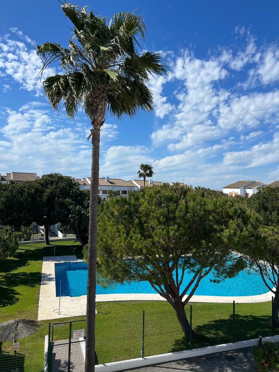 Garden, Swimming pool
