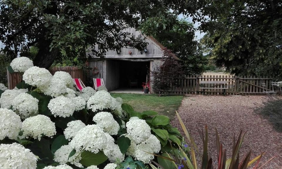 Spring, Day, Garden, Garden view