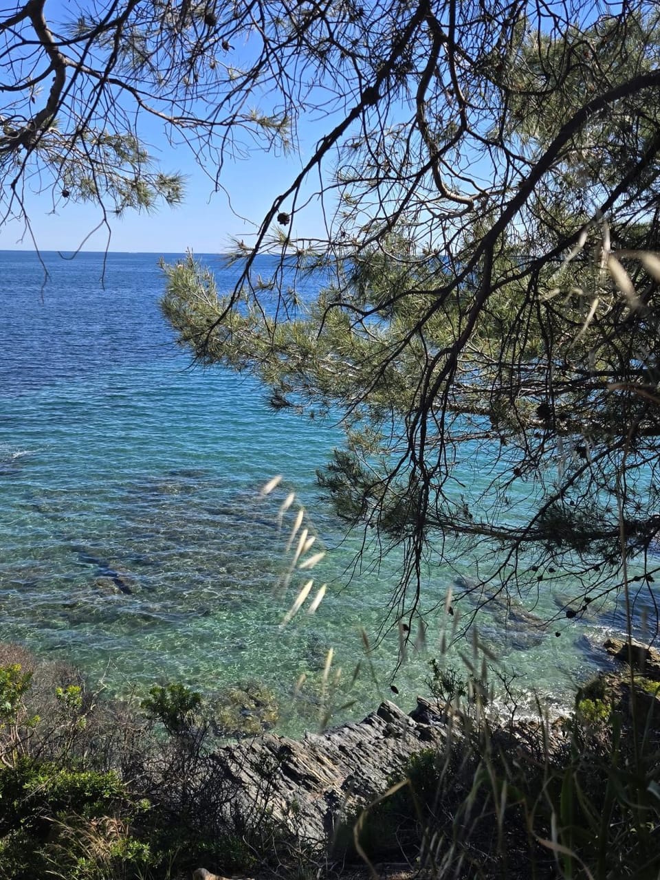 Natural landscape