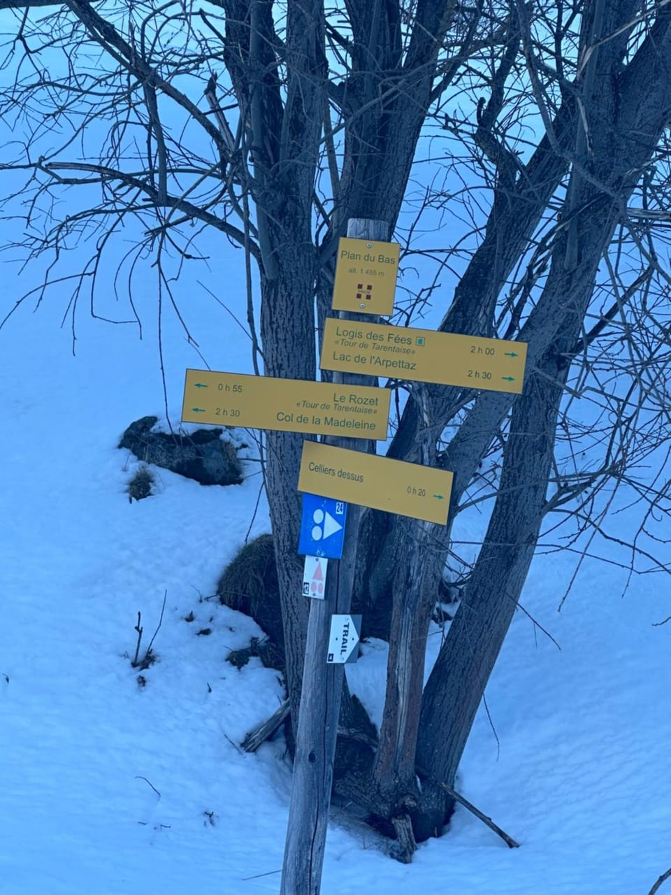 Les racines et les cimes Apartment in Les Avanchers-Valmorel