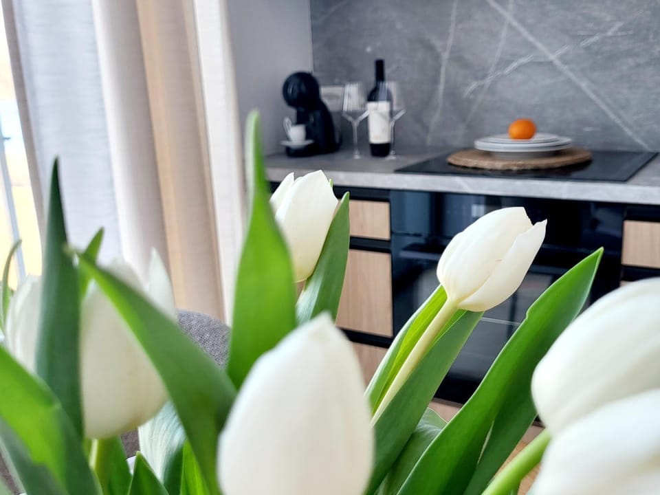 Ostoja Orli Dziób D7 Apartment in Lithuania