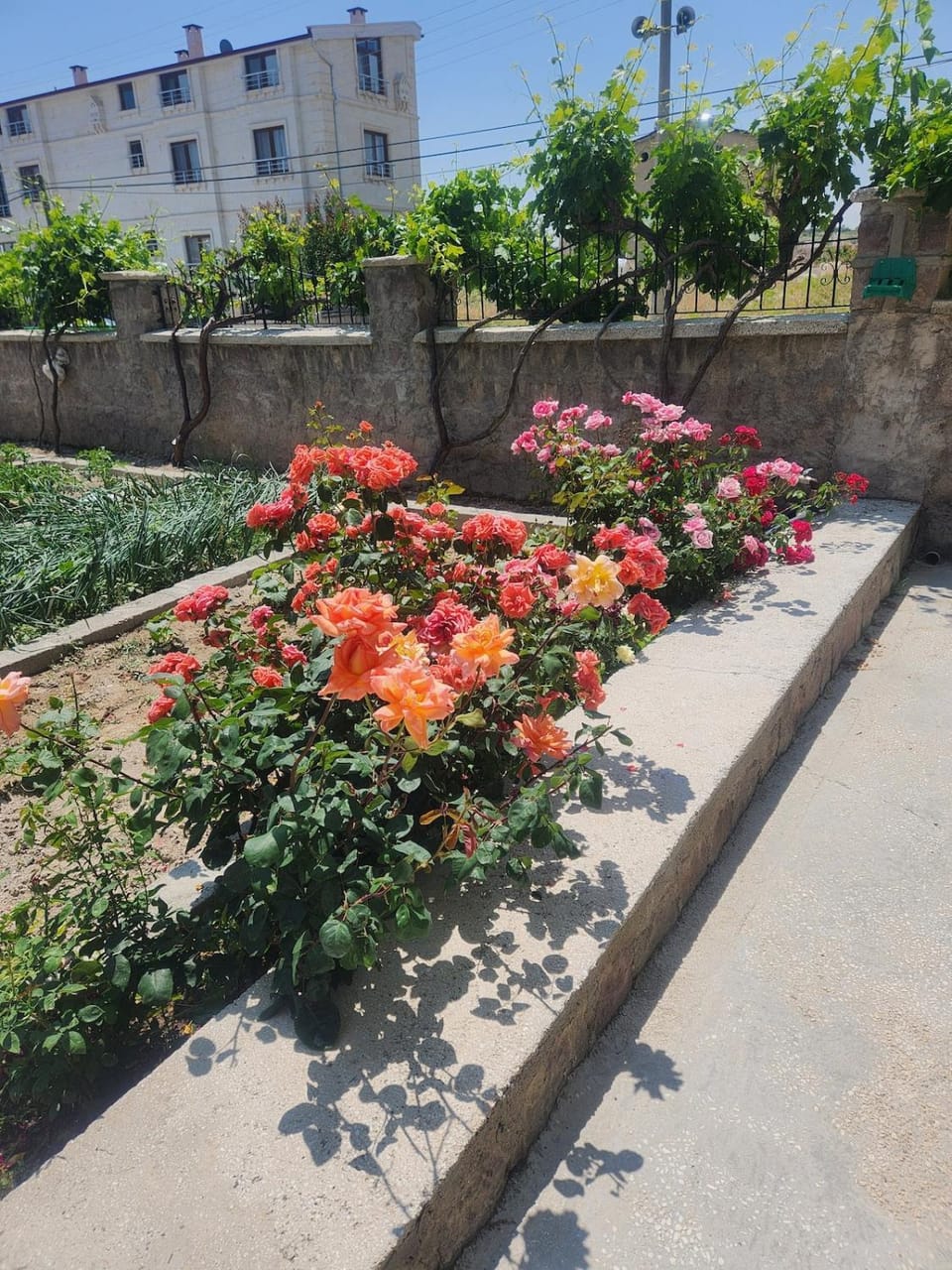 Spring, Day, Garden, Garden view