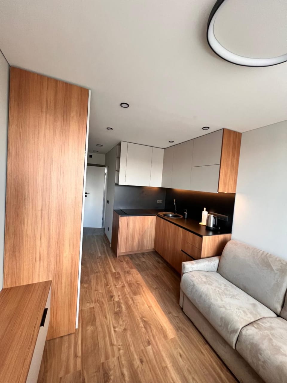 Žvėryno studija Apartment in Vilnius