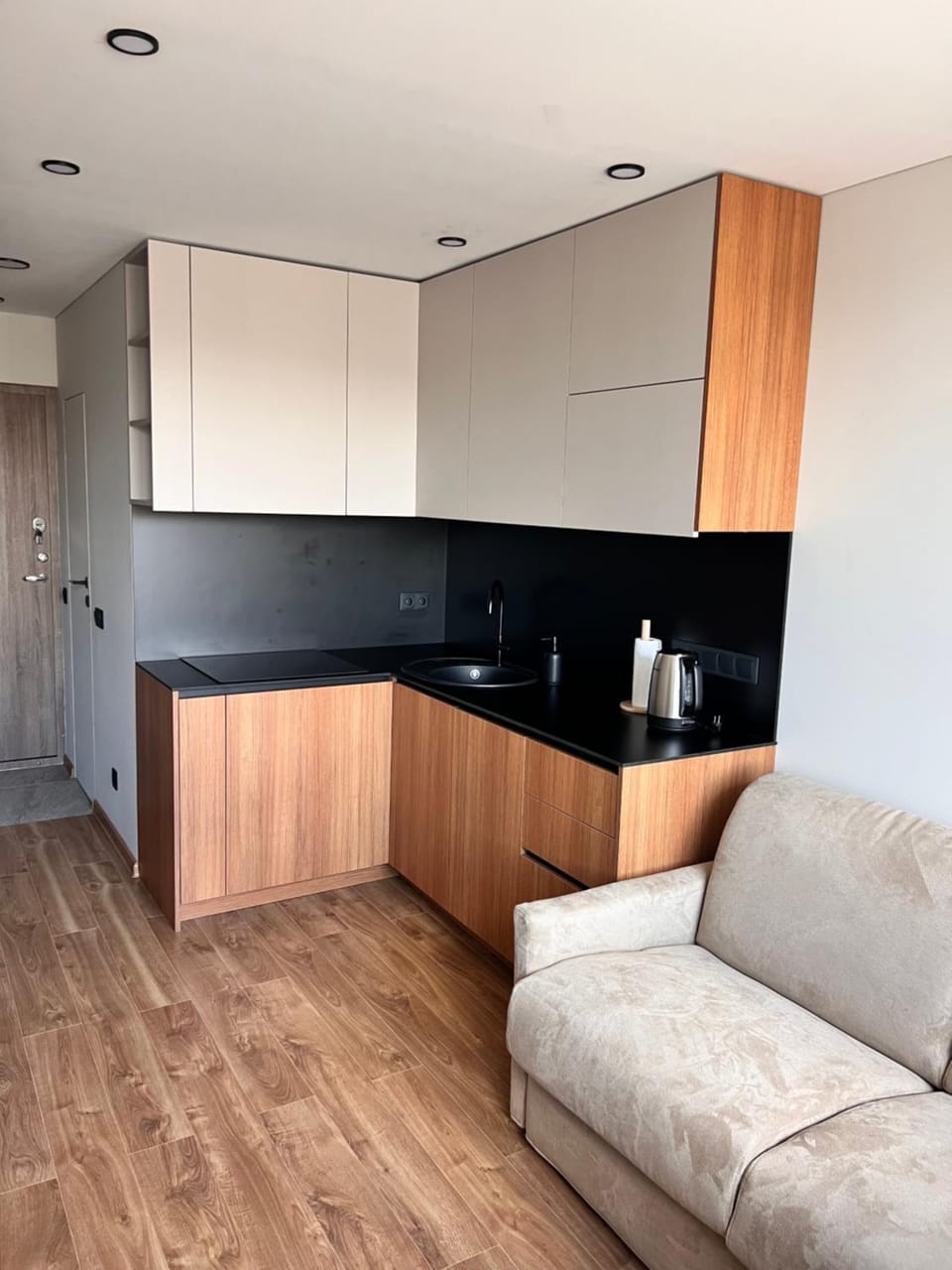 Žvėryno studija Apartment in Vilnius