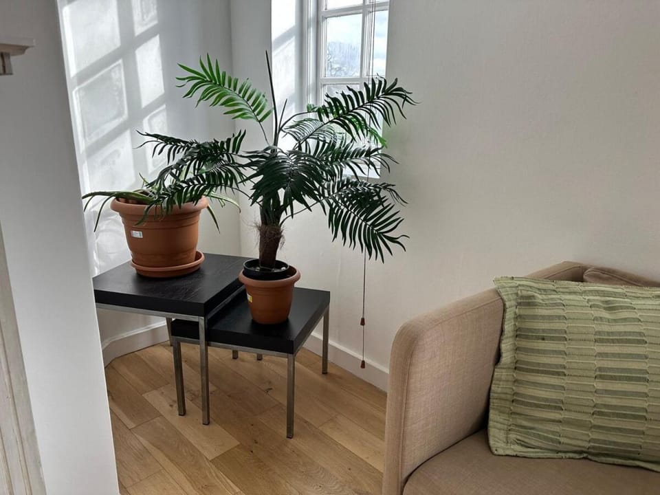 Cosy 2-Bed Retreat in Hampstead Apartment in London