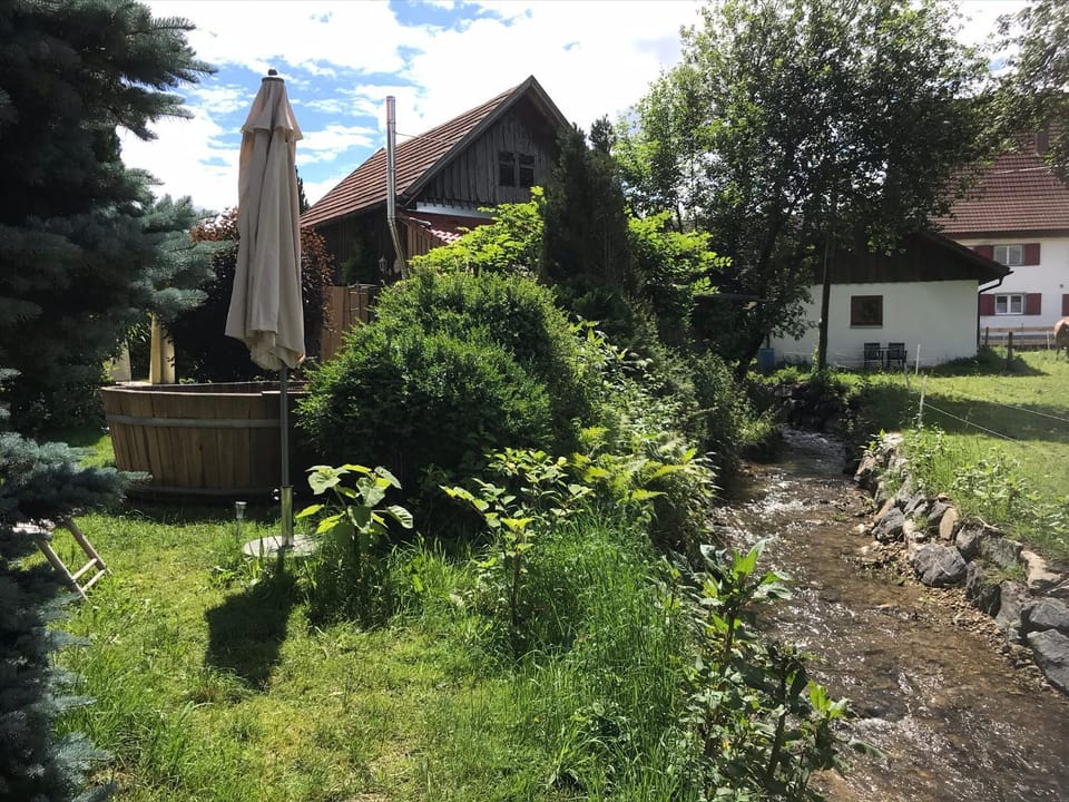 Patio, Garden