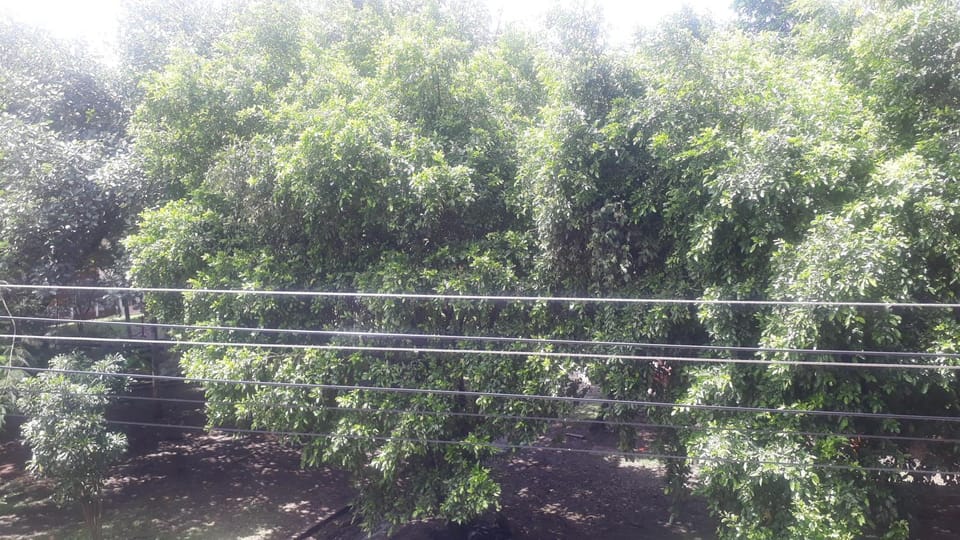 Day, Natural landscape