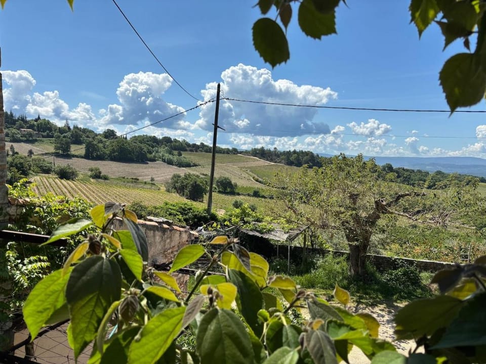 Maison sur la Route du Mont Ventoux House in Flassan