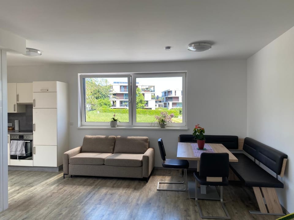 Kitchen or kitchenette, Living room, Seating area, Dining area