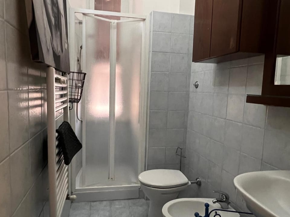 Shower, Toilet, Bathroom, bidet