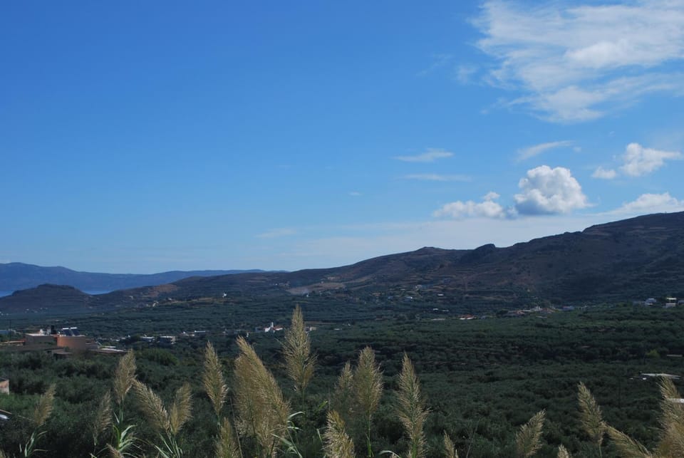 Garden, Mountain view