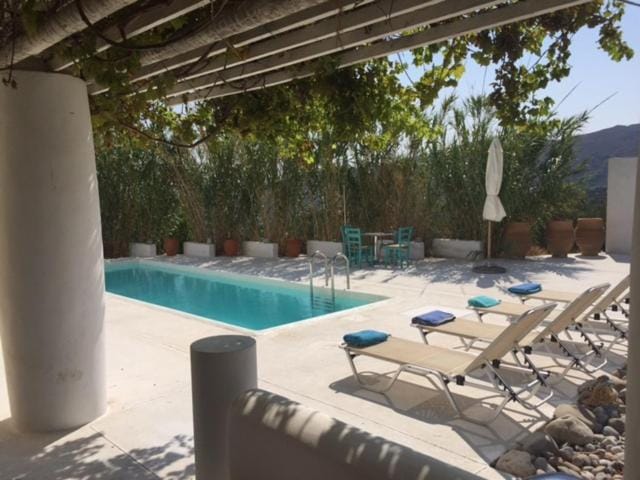 Patio, Natural landscape, Garden, Swimming pool, sunbed