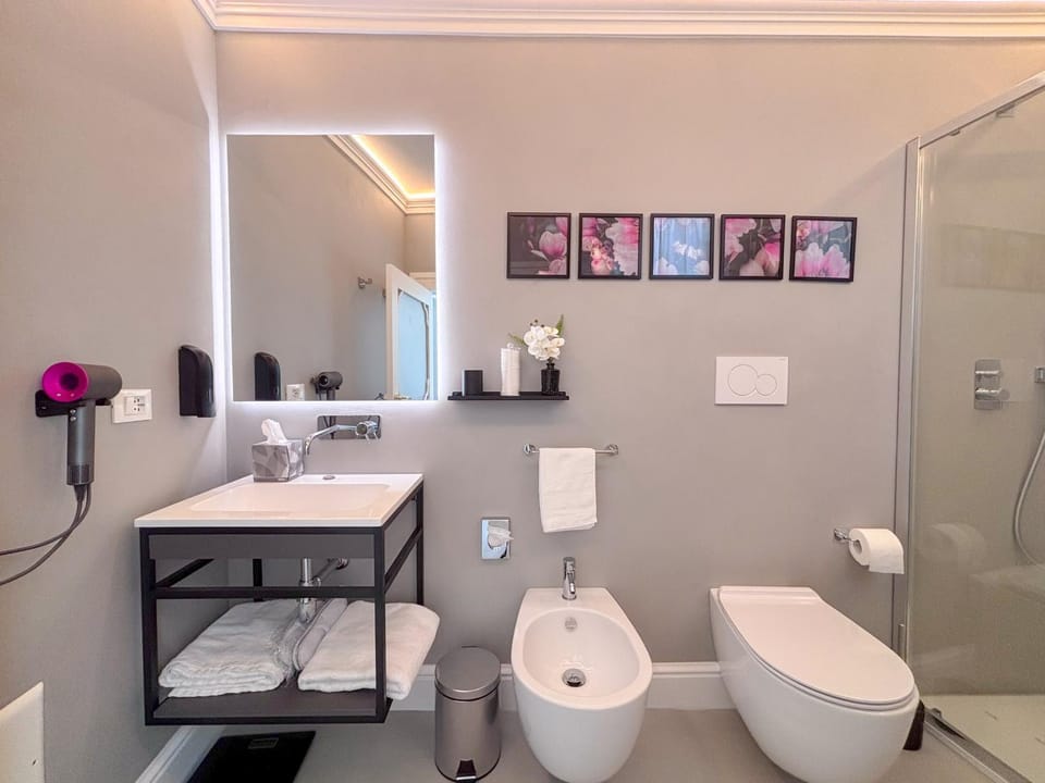 Shower, Toilet, Bathroom, bidet, hair dryier, towels