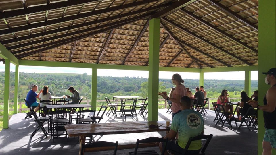 Restaurant/places to eat, Natural landscape, Balcony/Terrace, group of guests