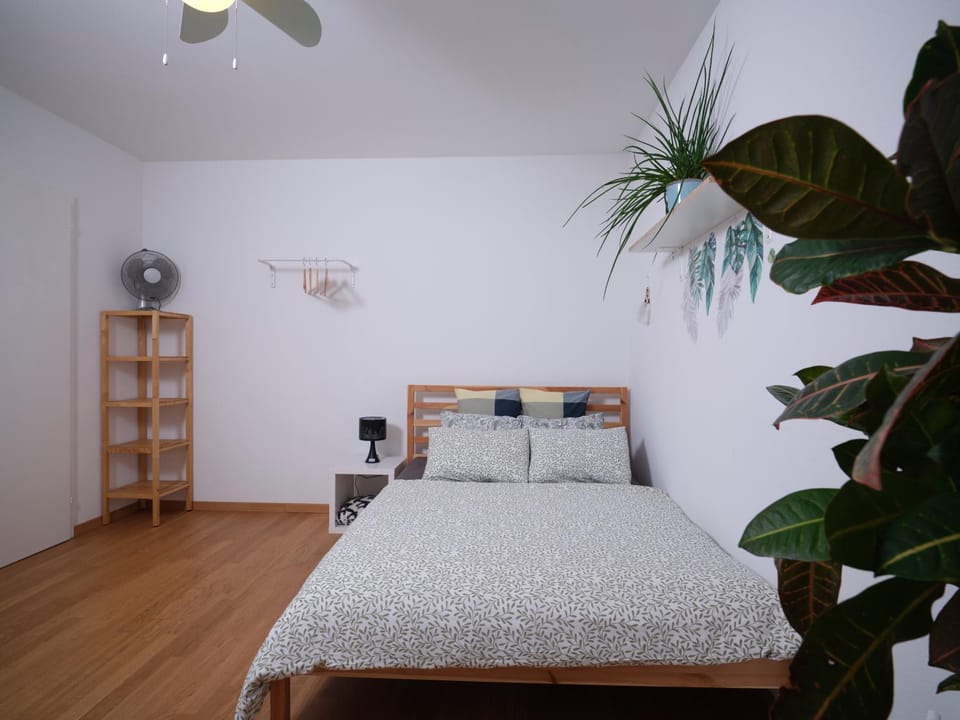 Bed
