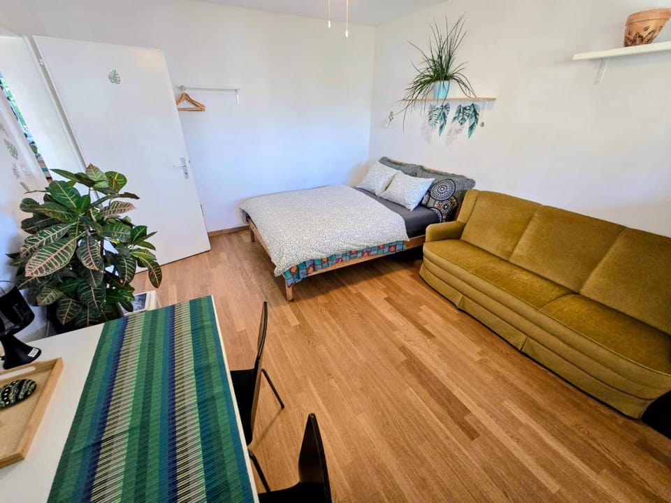 Charmantes Zimmer mit Gemeinschaftsbereichen Vacation rental in Basel