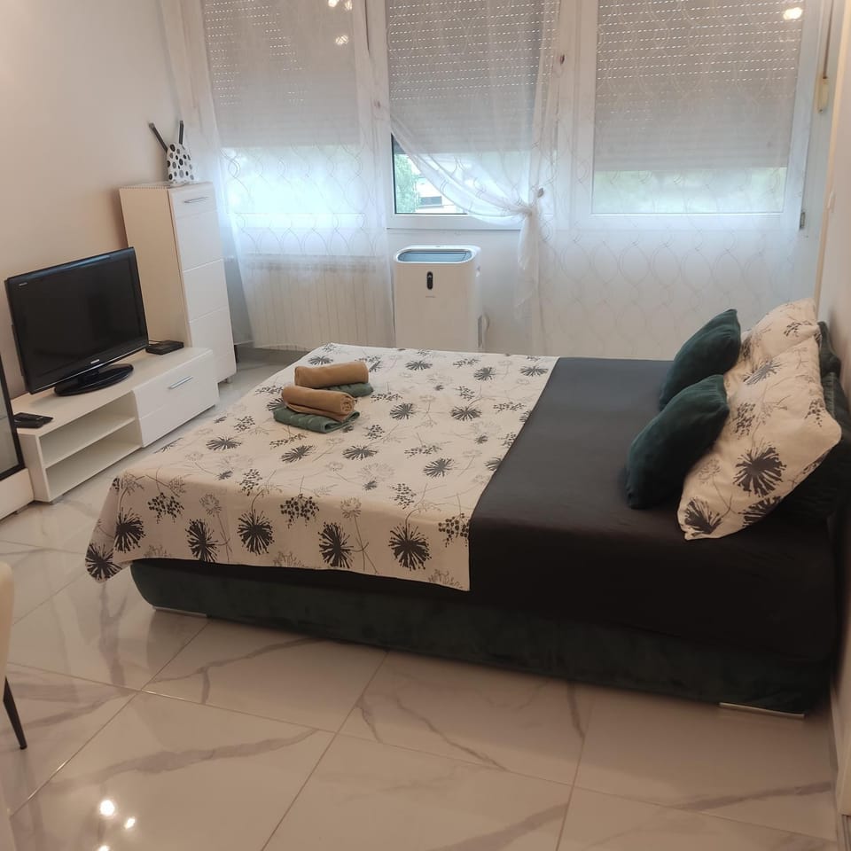 Studio apartman Franka Apartment in Vojvodina