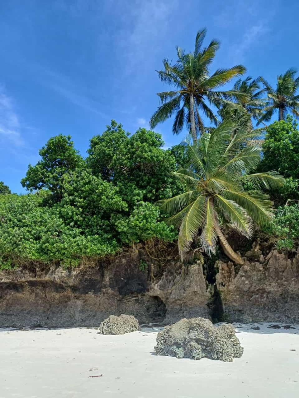 Natural landscape