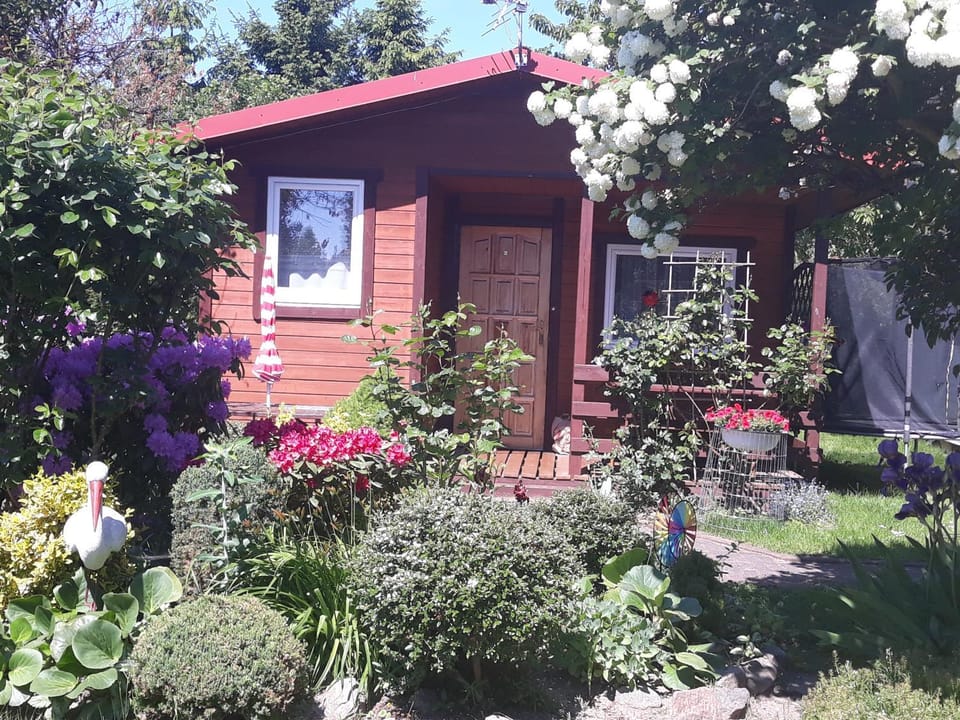 Domki Mewa Campground/ 
RV Resort in Pomeranian Voivodeship