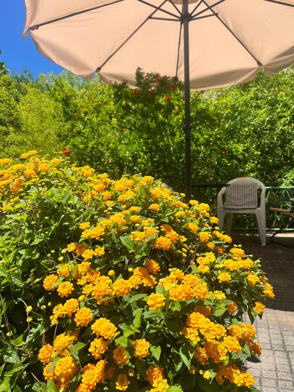Spring, Garden, Garden view