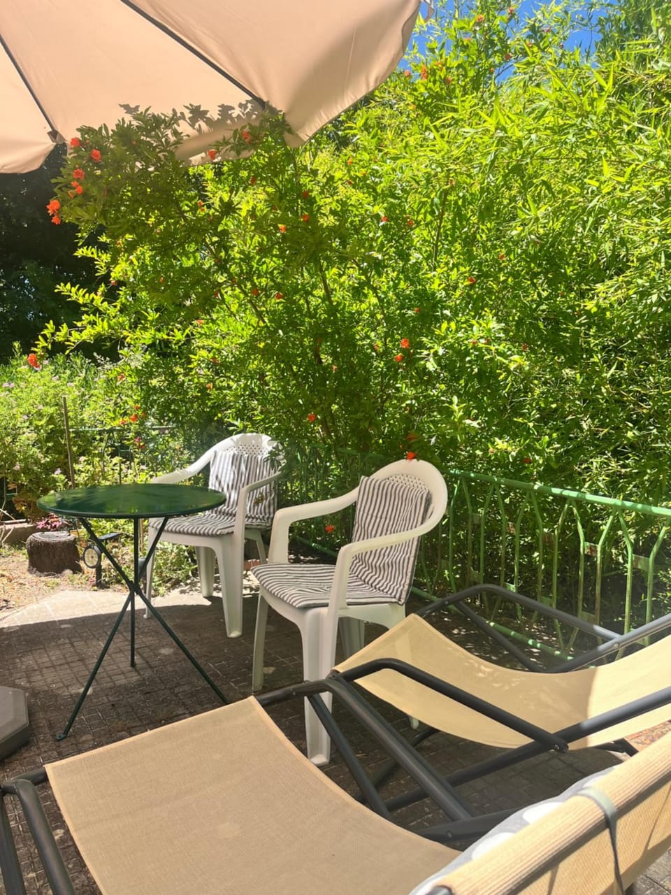 Villa Sveva Vacation rental in Sardinia