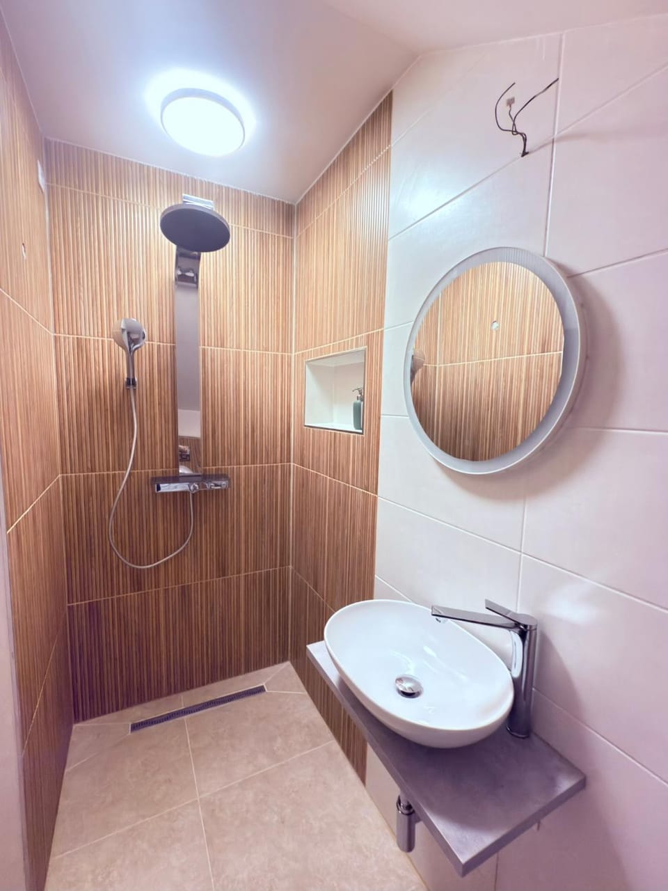 Shower, Toilet