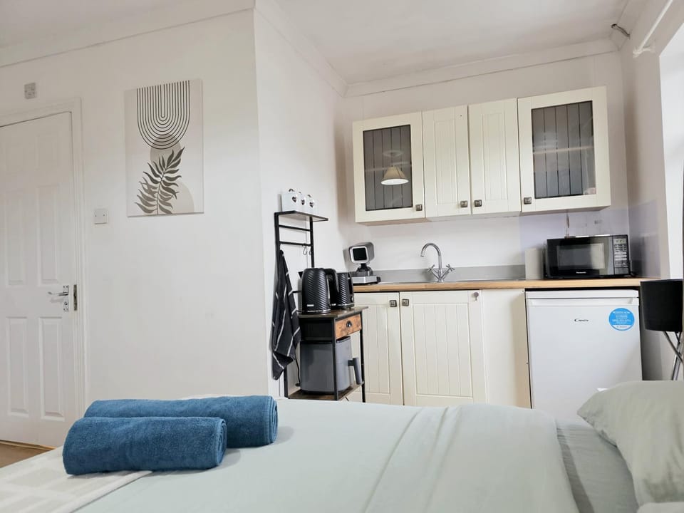 Bed, Coffee/tea facilities, Kitchen or kitchenette, Photo of the whole room, Bedroom, minibar, stove, toaster