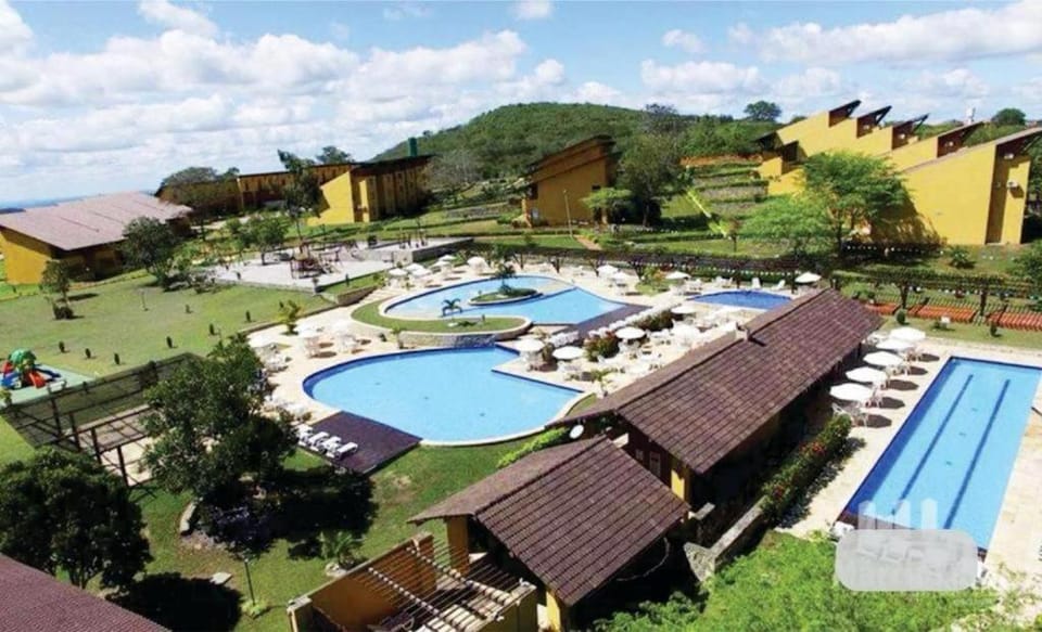 Garden, Pool view, Swimming pool, sunbed
