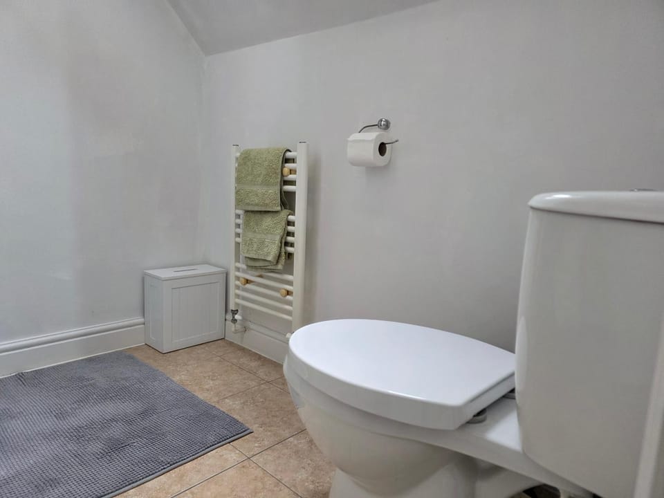 Toilet, Bathroom, towels