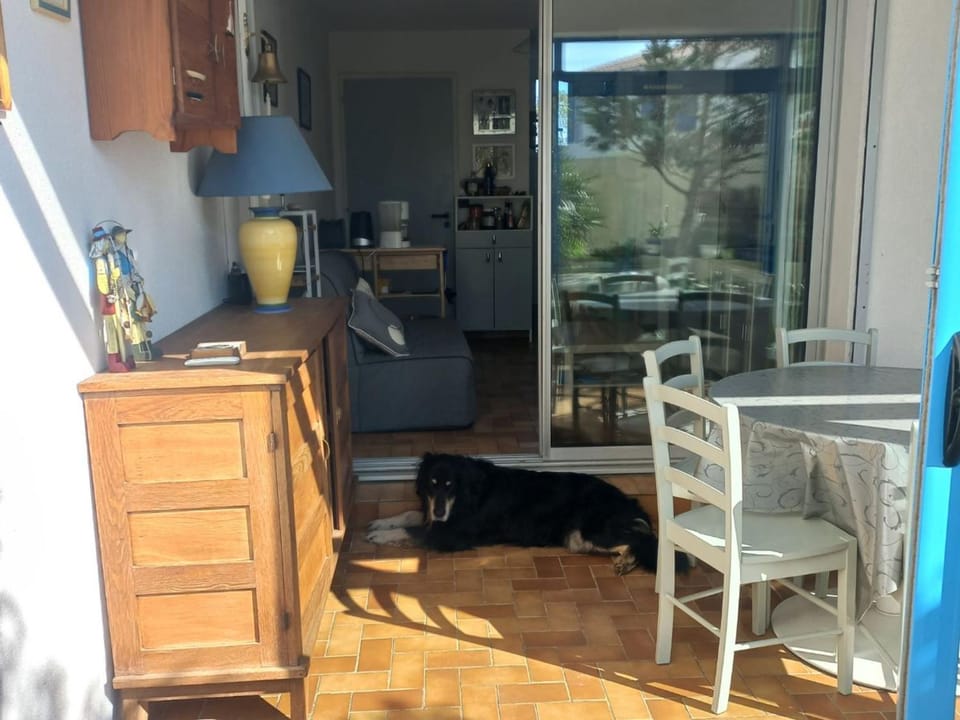 Appartement à Noirmoutier, proche plage, animaux admis, parking - FR-1-823-140 Apartment in Noirmoutier-en-l'Île