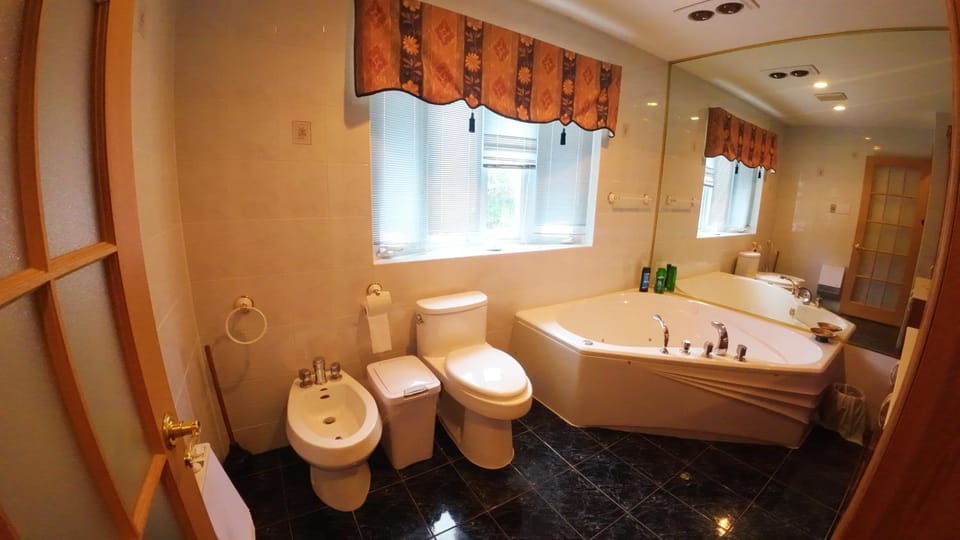 Toilet, Hot Tub, Bathroom, Bath, bidet