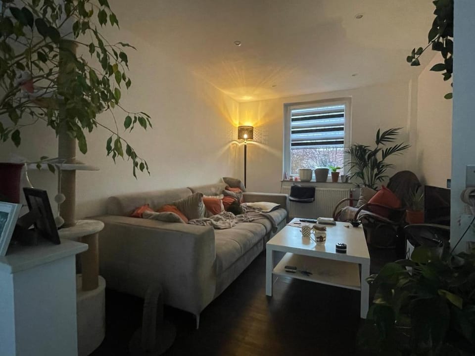 Like a house - lovely Maisonette with Cats Apartment in Bremen