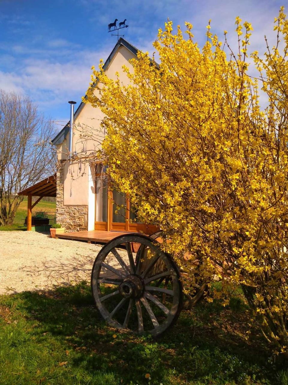 Garden view