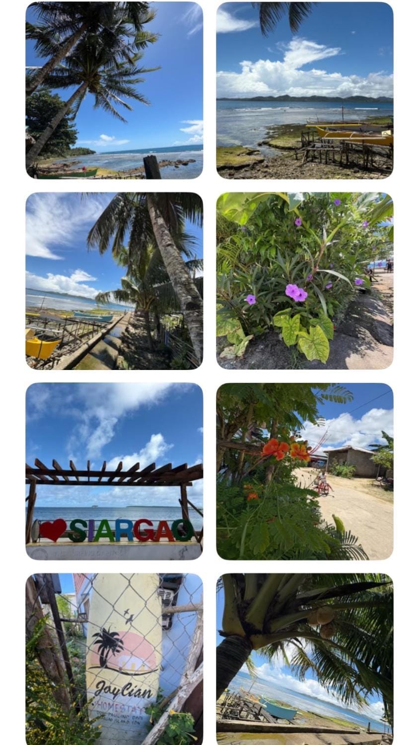 Property building, Restaurant/places to eat