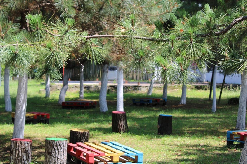 Garden view