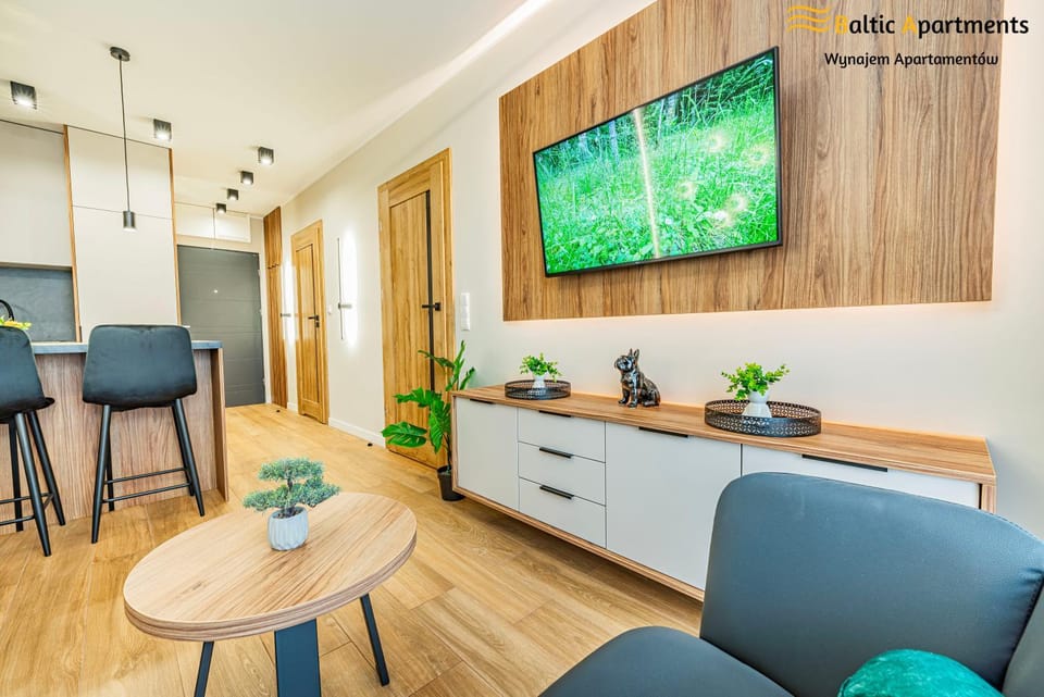 TV and multimedia, Living room, Photo of the whole room, Decorative detail