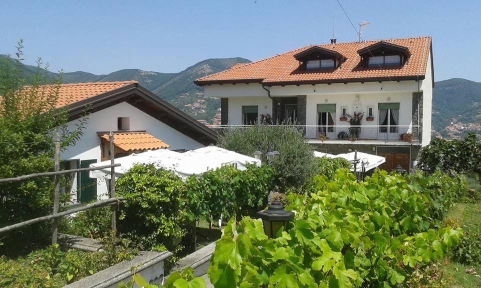 The Cliff Amalfi Coast - Apartment 1 Apartment in Furore