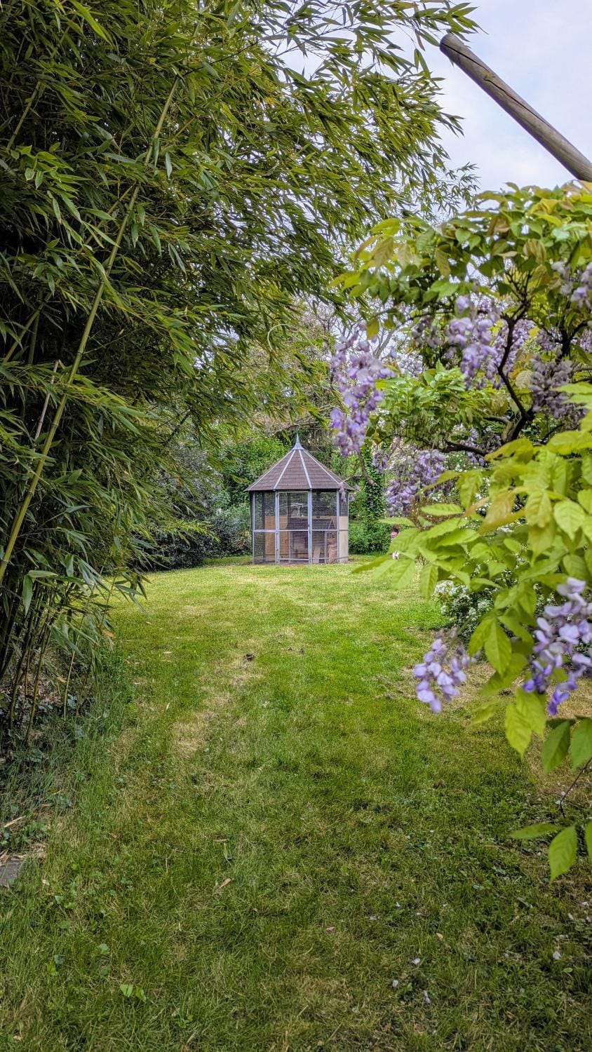 Natural landscape, Garden, Garden, Garden view