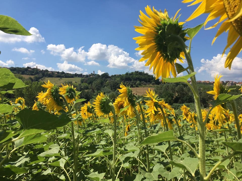 Natural landscape, Hiking