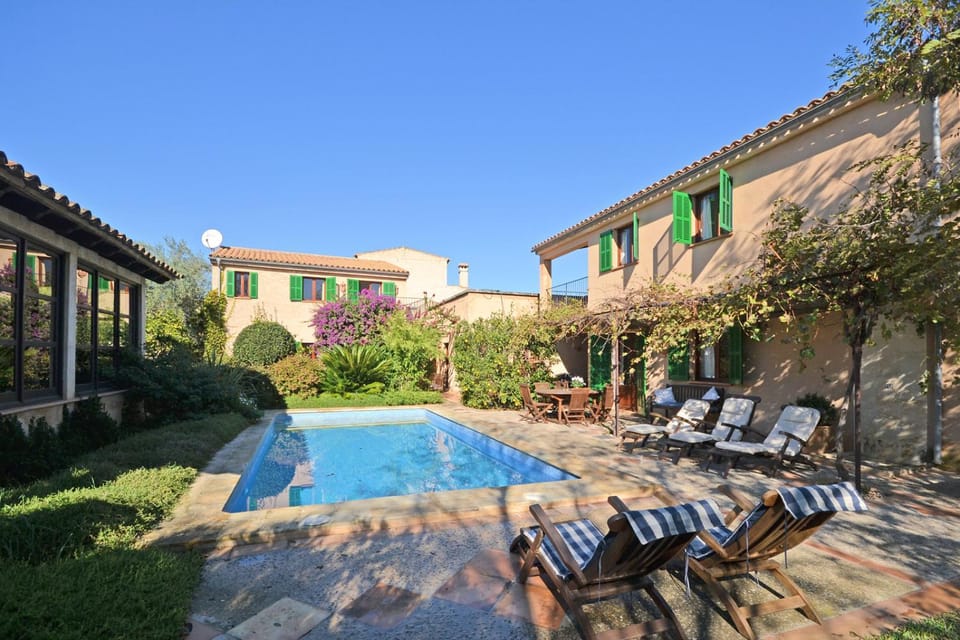 Patio, Garden, Garden view