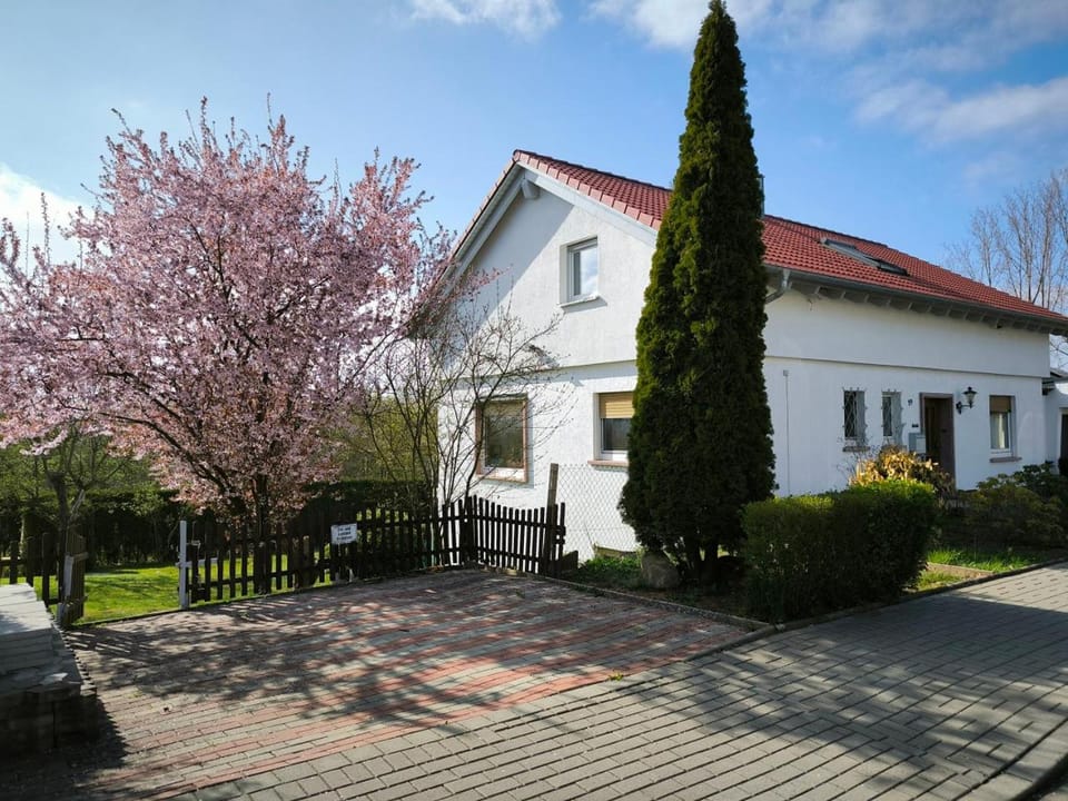 Property building, Spring, Day, Garden, Garden view