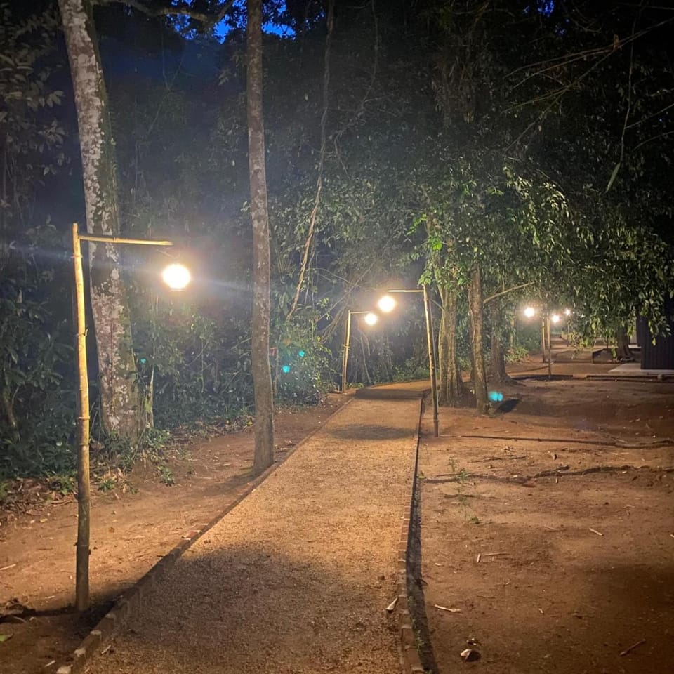 Night, Garden